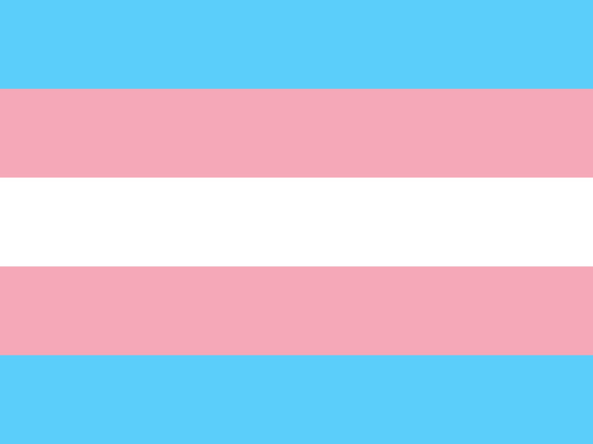 Finding Light in Dark Times: A Trans Perspective on&nbsp;Community