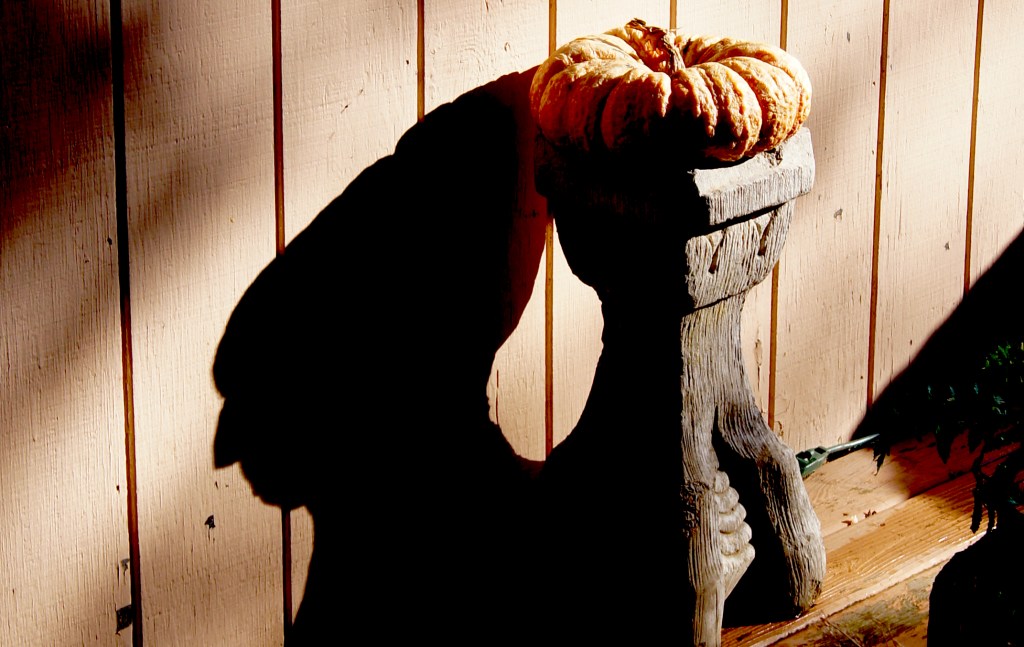 A decaying pumpkin resting on a weathered wooden stand, casting a shadow on a pale wooden wall that resembles a hunched, grieving figure.